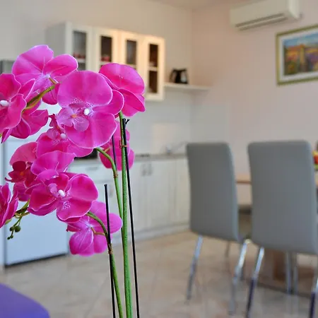 Paris Apartment Necujam